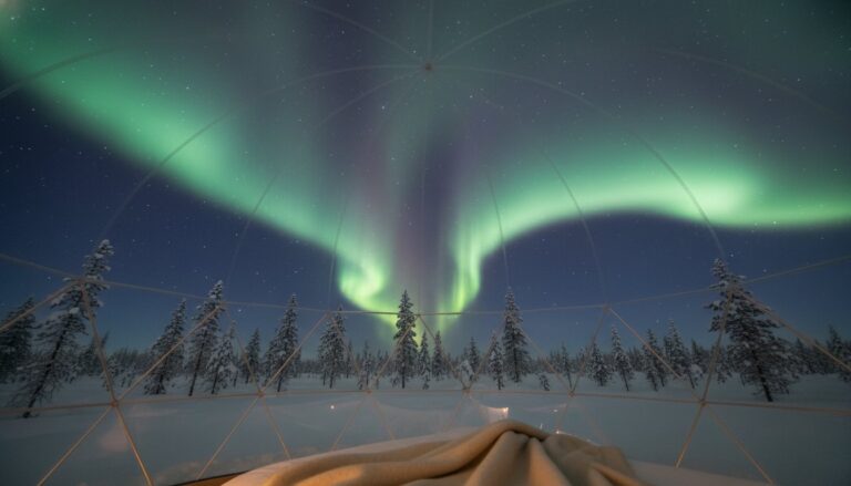 Glass Igloo Hotel Finland Reviews: A Curated 2026 Guide to Arctic Luxury
